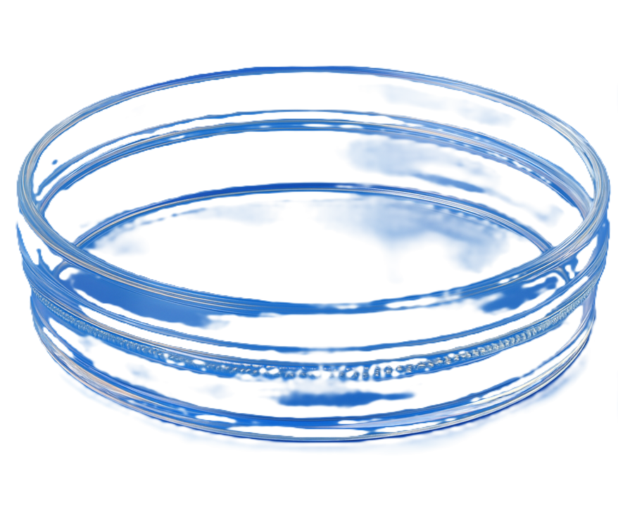 Disposable Petri Dish